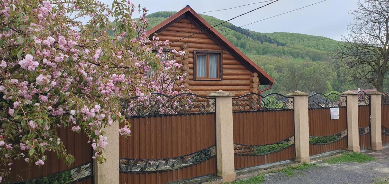 Smerekovyi Dvir Polyana  Zewnętrze zdjęcie